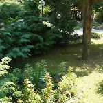 Hotel Exotica Golden Sands